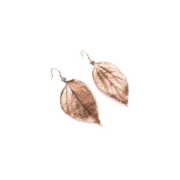 Copper stinkwood leaf earrings made from real Gauteng leaves with rose gold sterling silver hooks.