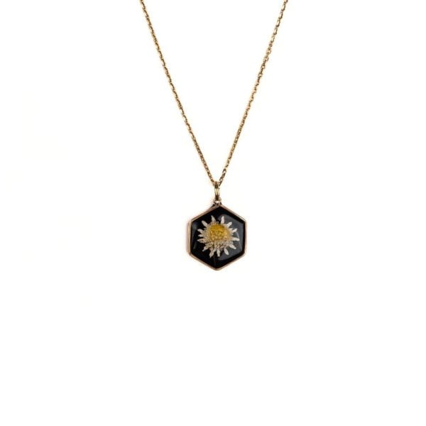 Gold hexagon daisy necklace with real Cape Town daisy flower set in resin on a gold plated sterling silver chain.