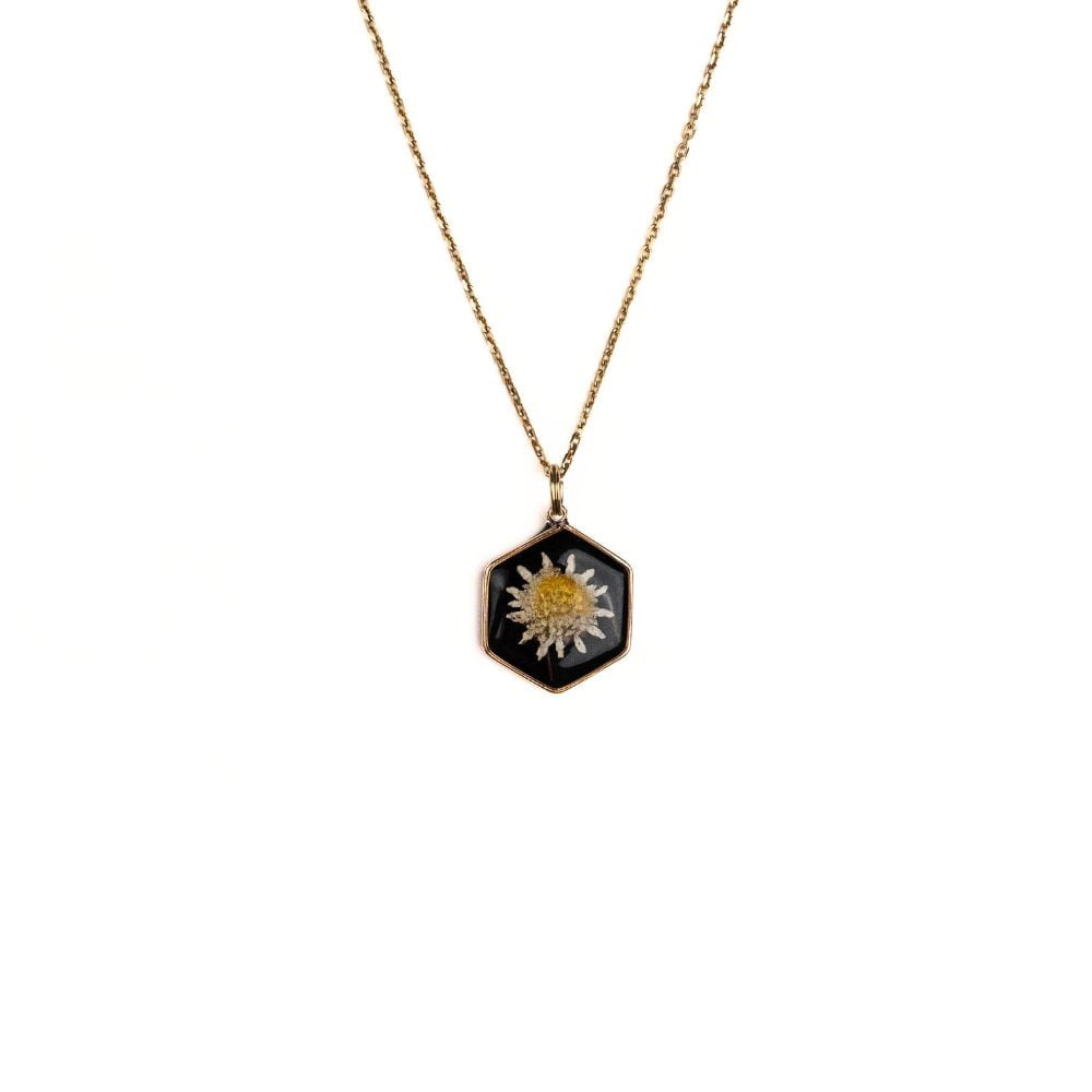 Gold hexagon daisy necklace with real Cape Town daisy flower set in resin on a gold plated sterling silver chain.
