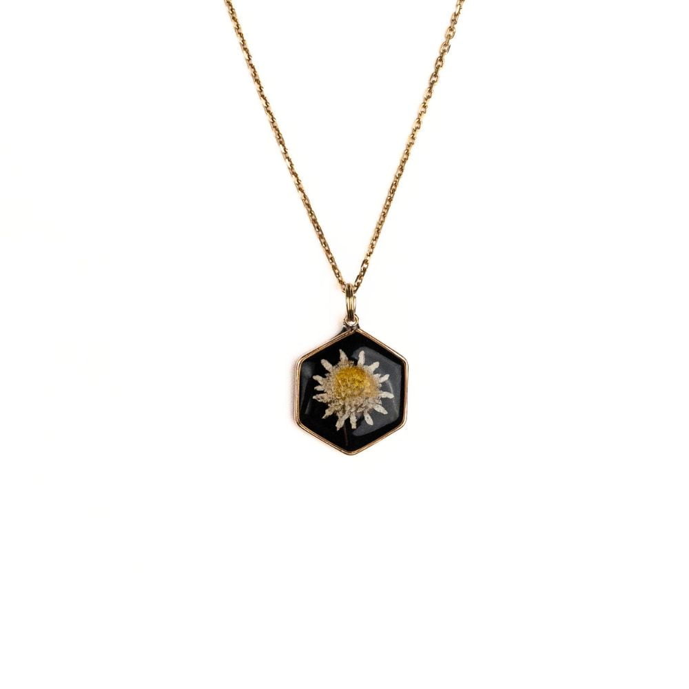 Gold hexagon daisy necklace with real Cape Town daisy flower set in resin on a gold plated sterling silver chain.