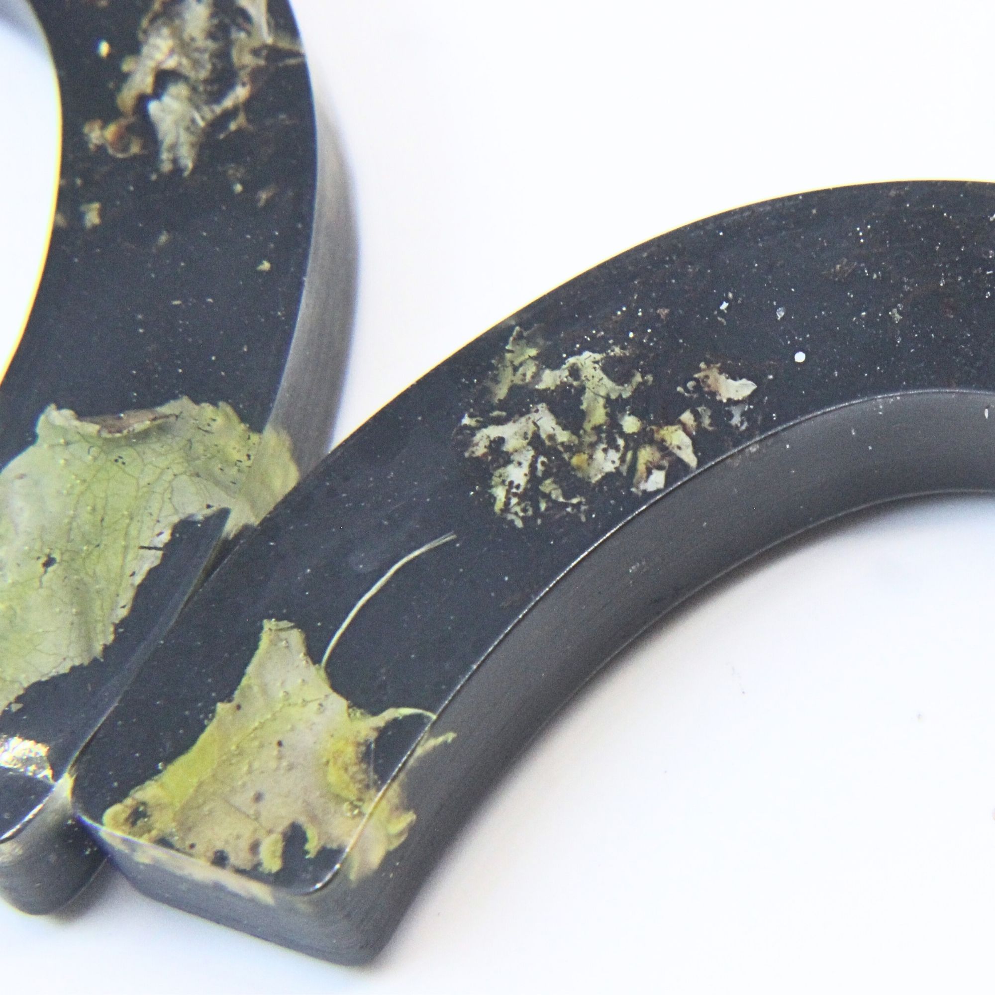 Black resin curved arch earrings with wild lichen, fern and moss inlay, gold plated brass disc tops and sterling silver studs.