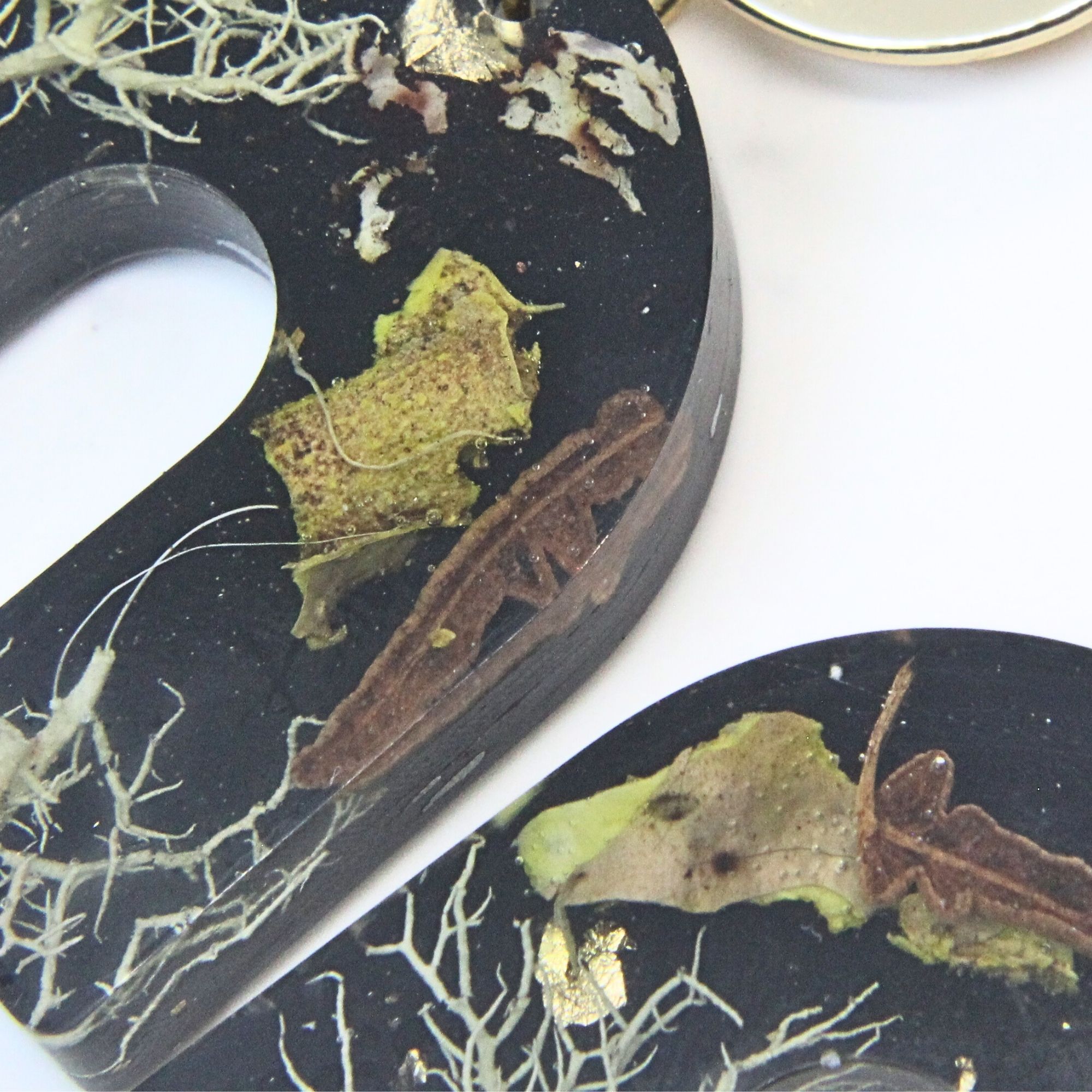 Black solid resin arch earrings with grass seed inlay and gold plated sterling silver disc tops.