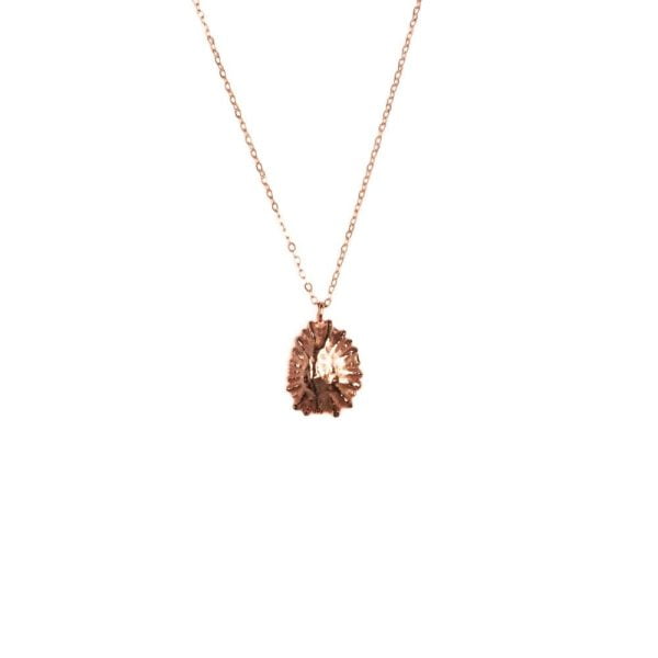 Rose gold limpet shell necklace on sterling silver chain.