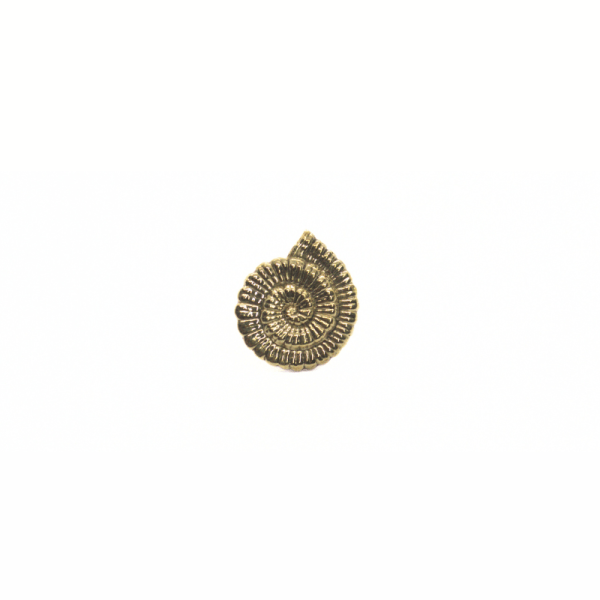 Brass ammonite fossil inspired pin worn on brown leather jacket.