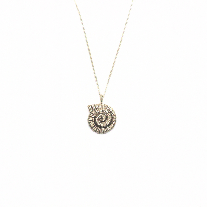 Sterling silver ammonite fossil pendant on sterling silver chain.