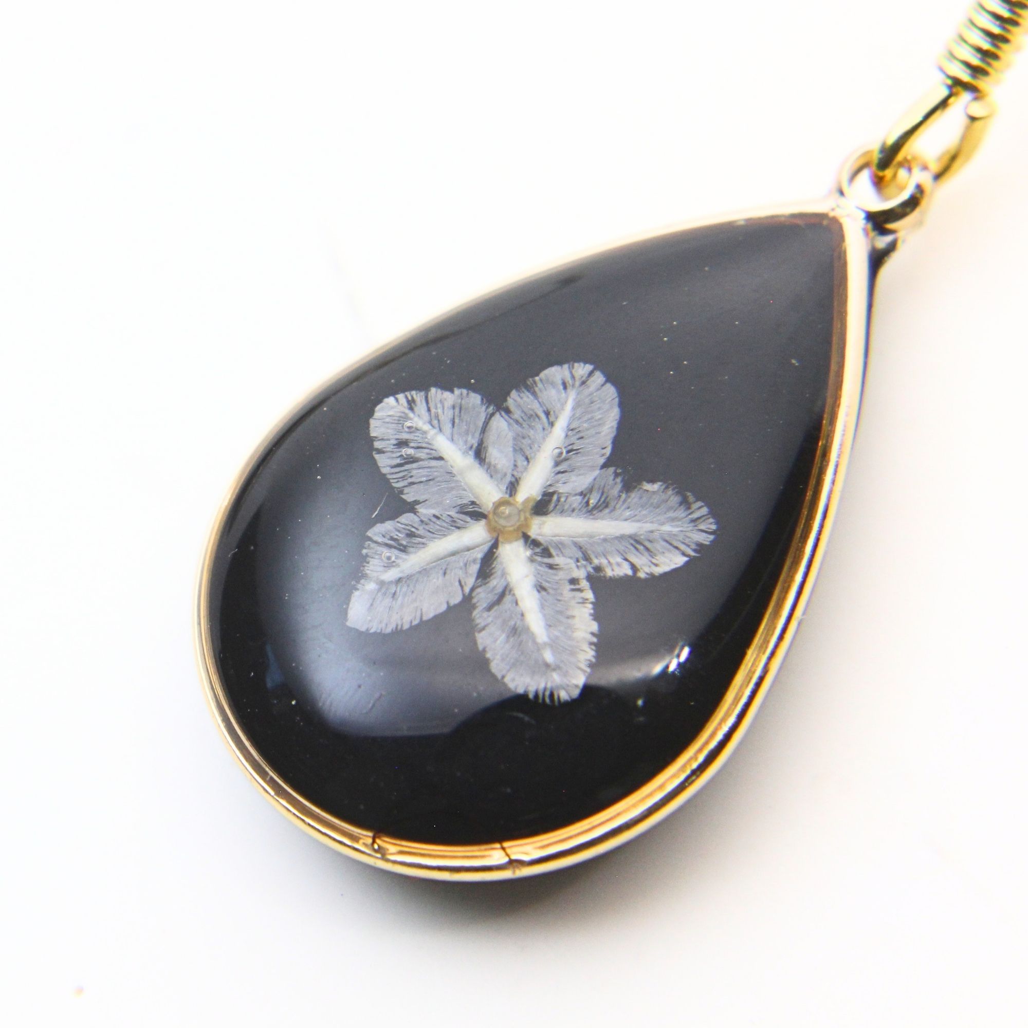 Gold teardrop earrings with white pressed flowers on a black background.